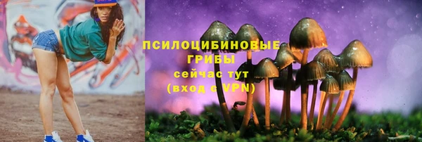 дурь Каменск-Шахтинский