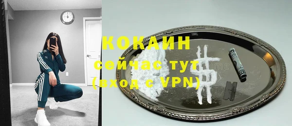дурь Каменка