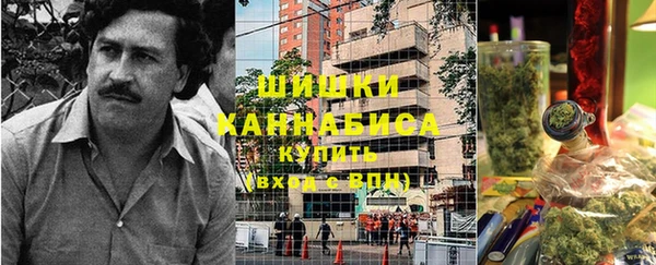 дурь Каменка