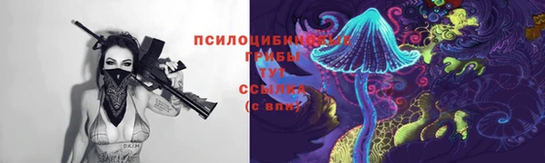 дурь Каменск-Шахтинский