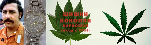 прущие крисы Карпинск