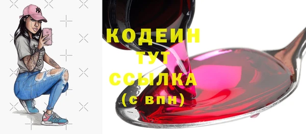 дурь Каменка