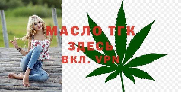дурь Каменка