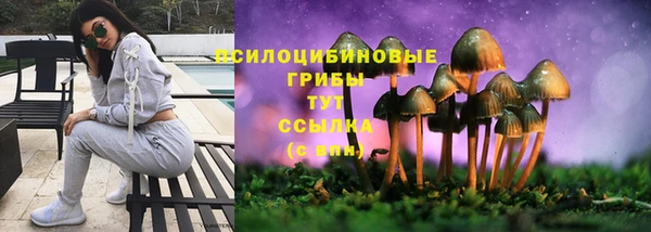 марихуана Каменногорск