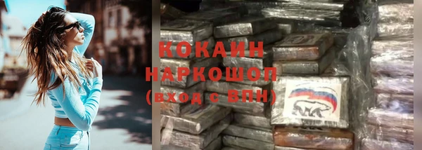 дурь Каменка